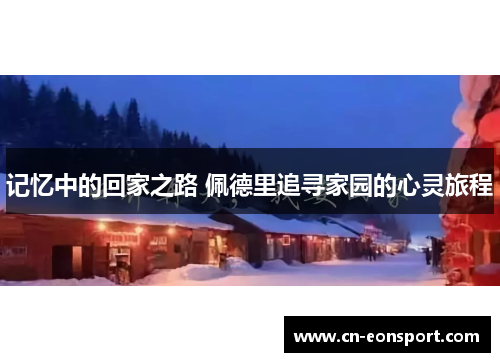 记忆中的回家之路 佩德里追寻家园的心灵旅程