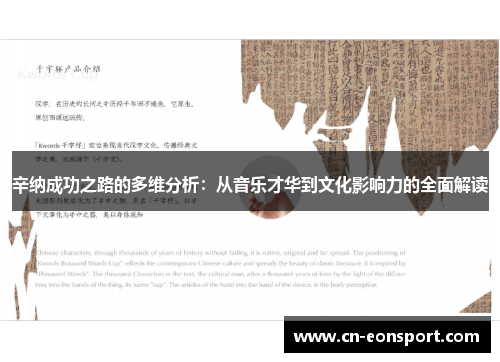 辛纳成功之路的多维分析：从音乐才华到文化影响力的全面解读