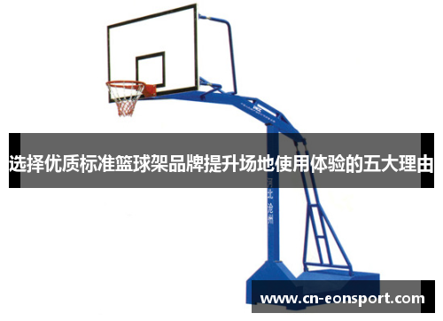 选择优质标准篮球架品牌提升场地使用体验的五大理由
