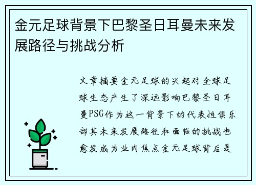 金元足球背景下巴黎圣日耳曼未来发展路径与挑战分析